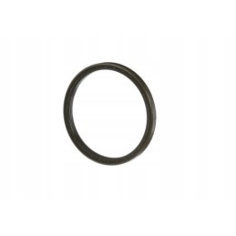 Korpuso mf nh sandariklis 3015376x1 87309584 165x190