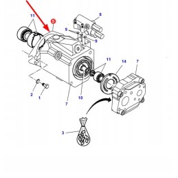 816940010010 antspaudas