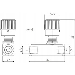 Hidraulinis atbulinis vožtuvas 1 pusėje 1 2 50l
