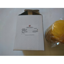 Variklio alyvos filtras jcb 8060 8080 jz70 02 800176