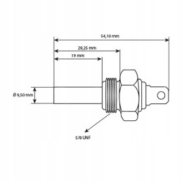 Vandens temperatūros jutiklis 1877731m92