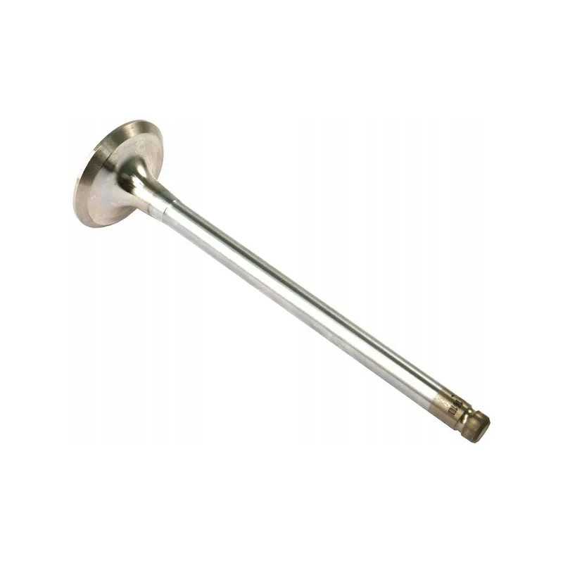 Išmetimo vožtuvas vpa1410