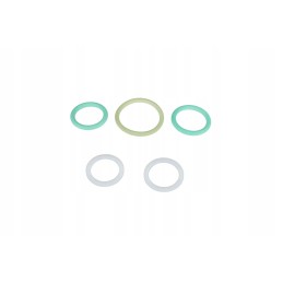 F916100430010 nuleidimo vožtuvų sandarikliai