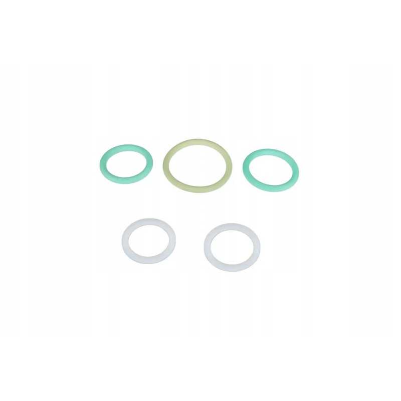 F916100430010 nuleidimo vožtuvų sandarikliai