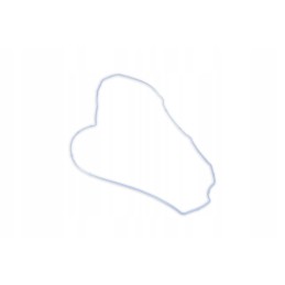 V837067881 vožtuvo dangtelio tarpinė