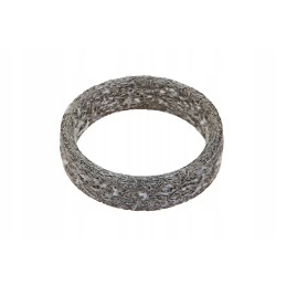 F842201110170 išmetimo kolektoriaus tarpinė