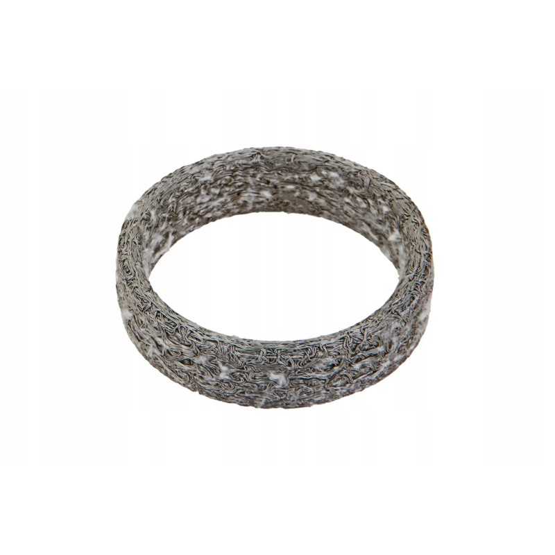 F842201110170 išmetimo kolektoriaus tarpinė