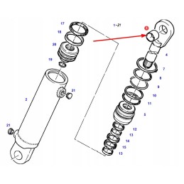 186861900110 pavaros mova