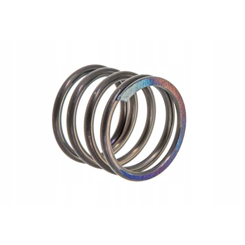 85006019 alyvos filtro spyruoklė