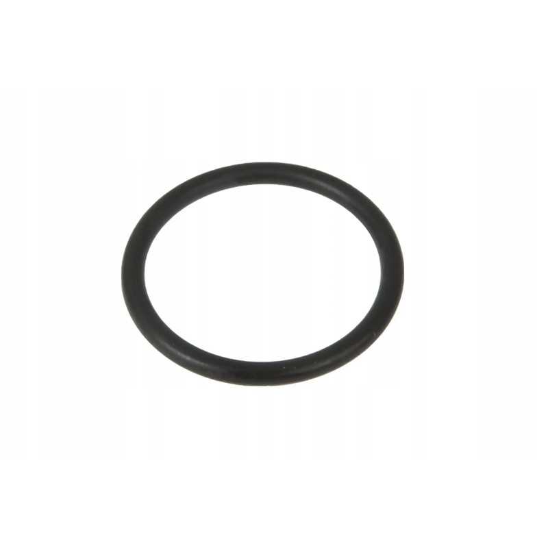 Vkh4131 sandarinimo žiedas 29 2 x 3