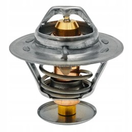 New Holland dz120502 termostatas