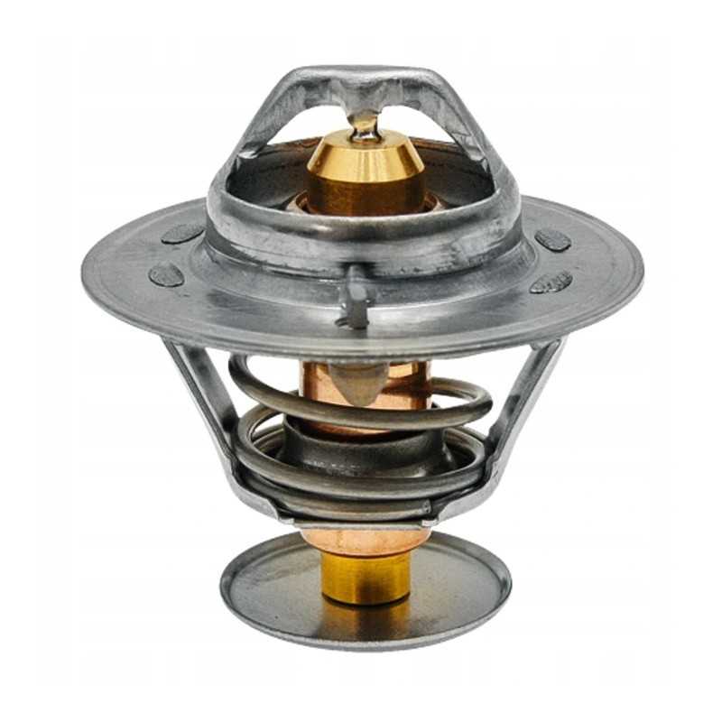 New Holland dz120502 termostatas