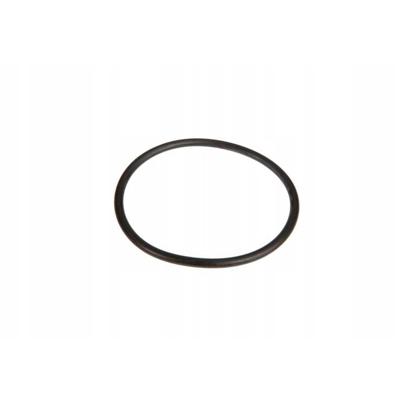 3000789x1 O žiedo reduktoriaus velenas 55 x 3