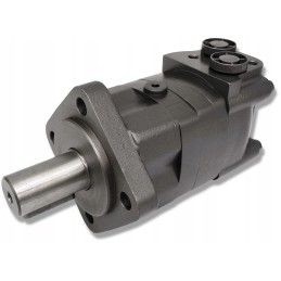 Hidraulinio variklio gr3 100cm3 750 aps./min įvorė