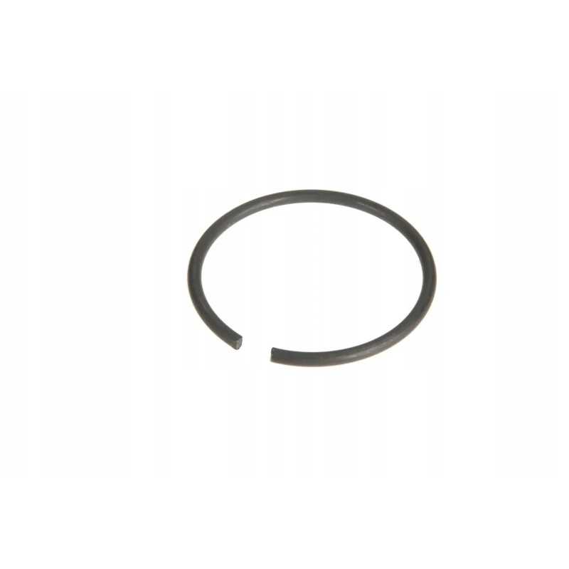 F931870041040 fiksavimo žiedas