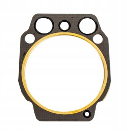 Galvos tarpiklis, variklio poveržlė, tas pats 001318890