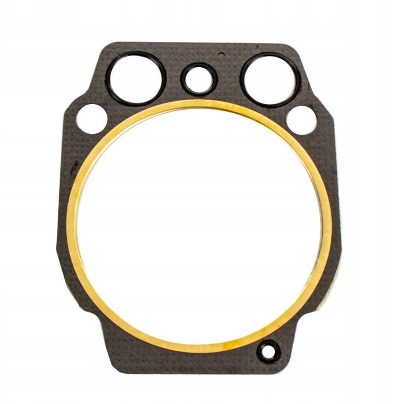 Galvos tarpiklis, variklio poveržlė, tas pats 001318890