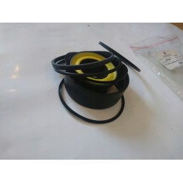 Cat 2350354 krokodilo ruonių rinkinys