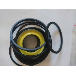 Cat 2350354 krokodilo ruonių rinkinys