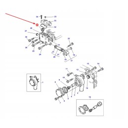 1447384m1 termostatas