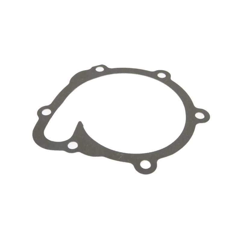 F119200610040 vandens siurblio sandariklis