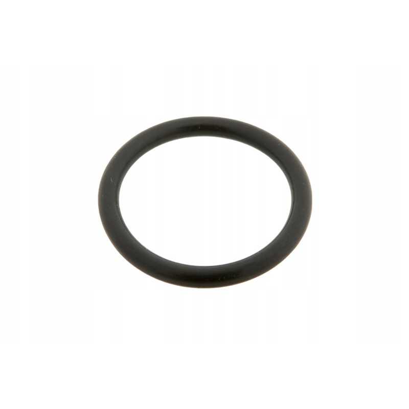 X548860601000 vožtuvo sandarinimo žiedo sandariklis 20 x 2 5 mm