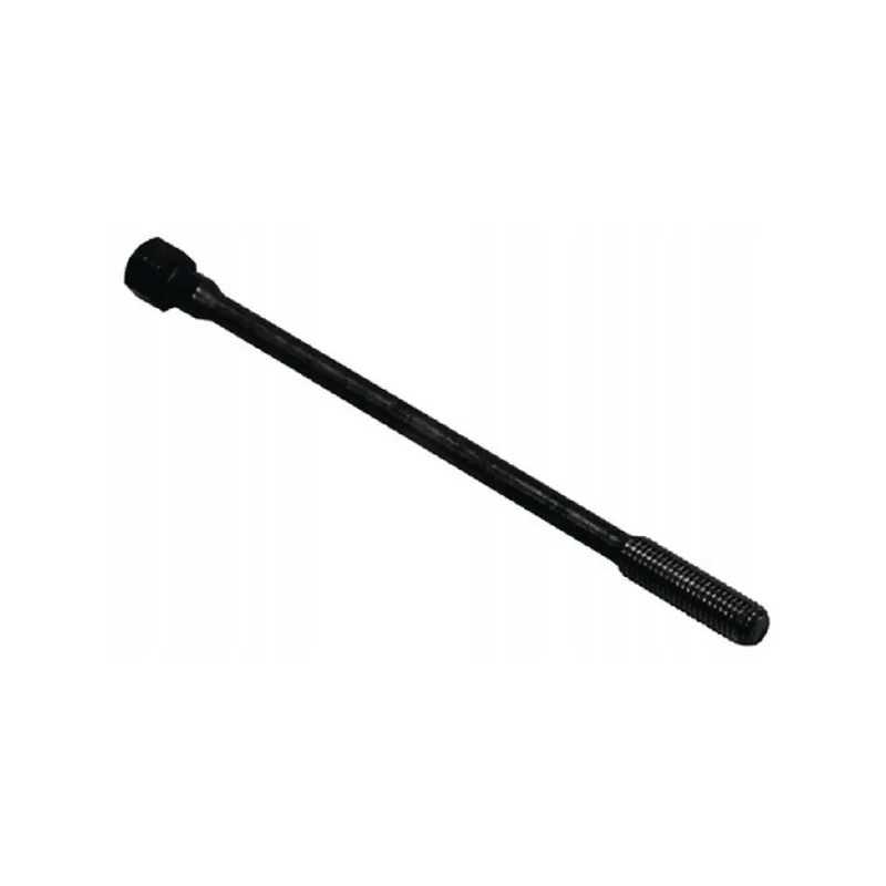 Cilindro galvutės kaiščio varžtas