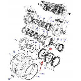 100 013 frikcinis diskas