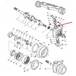 3429319m1 karališkas kaištis