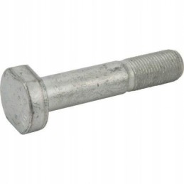 Rato ratlankio varžtas 16x1 5x78 5 naujas Olandijos korpusas 51