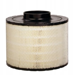 Donaldson B125011 oro filtras
