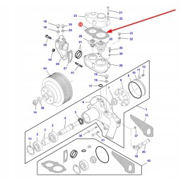 V836329632 termostato tarpiklis