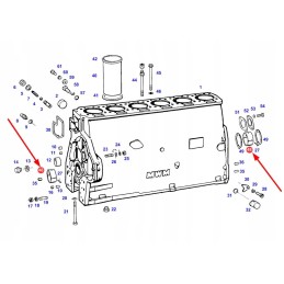 F385202210080 guolis