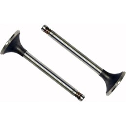 Išmetimo vožtuvas vpa1850