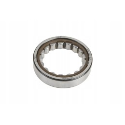 3387381m1 1 eilės cilindrinis ritininis guolis