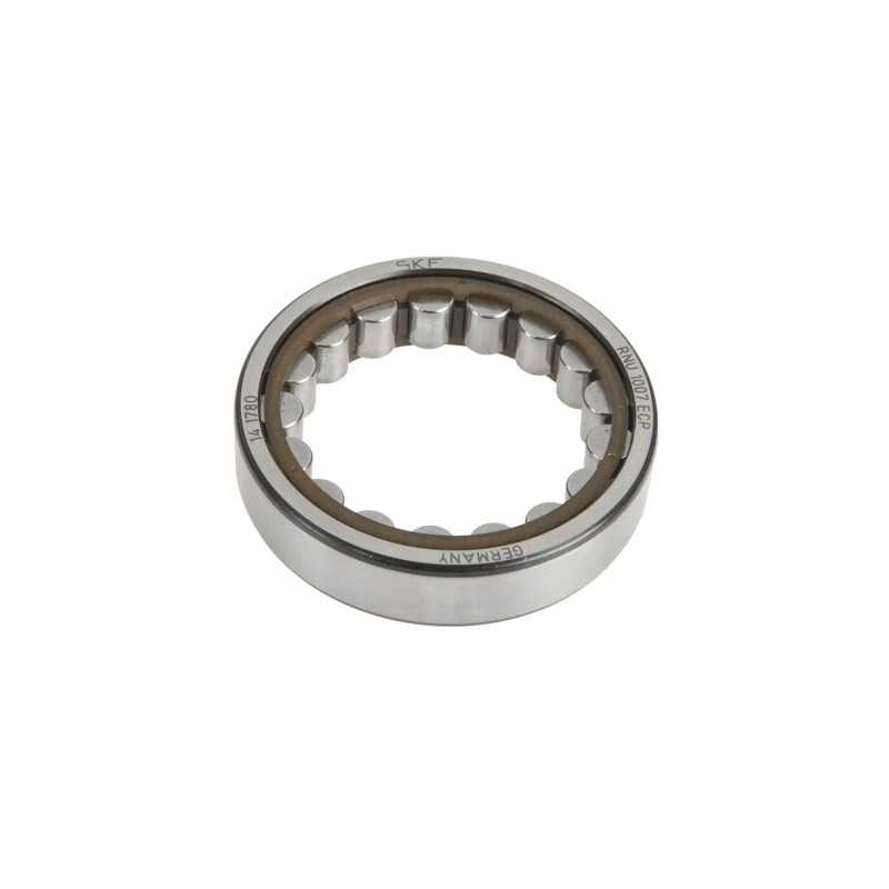 3387381m1 1 eilės cilindrinis ritininis guolis