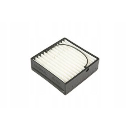 F916200060100 variklio kuro filtro pirminis filtras