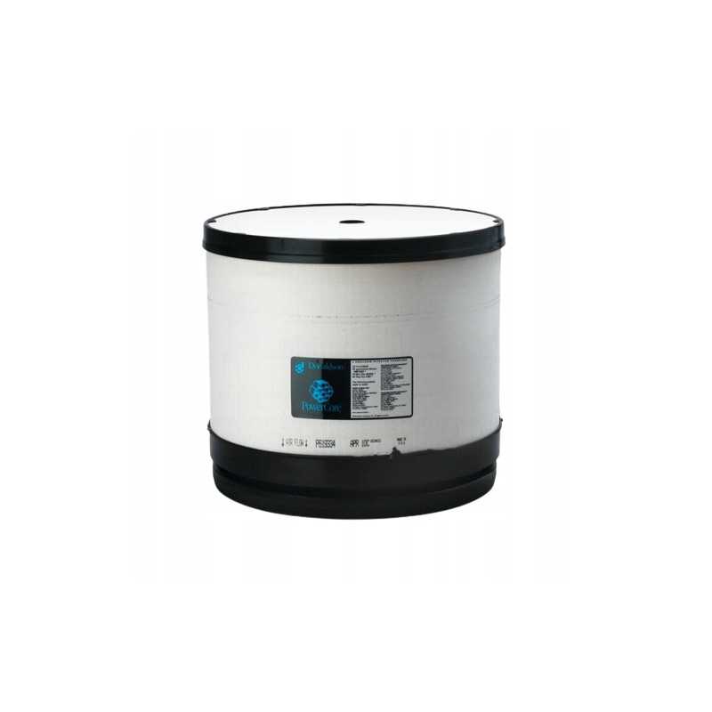 Donaldson oro filtras p619334