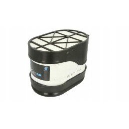 Donaldson oro filtras p787281