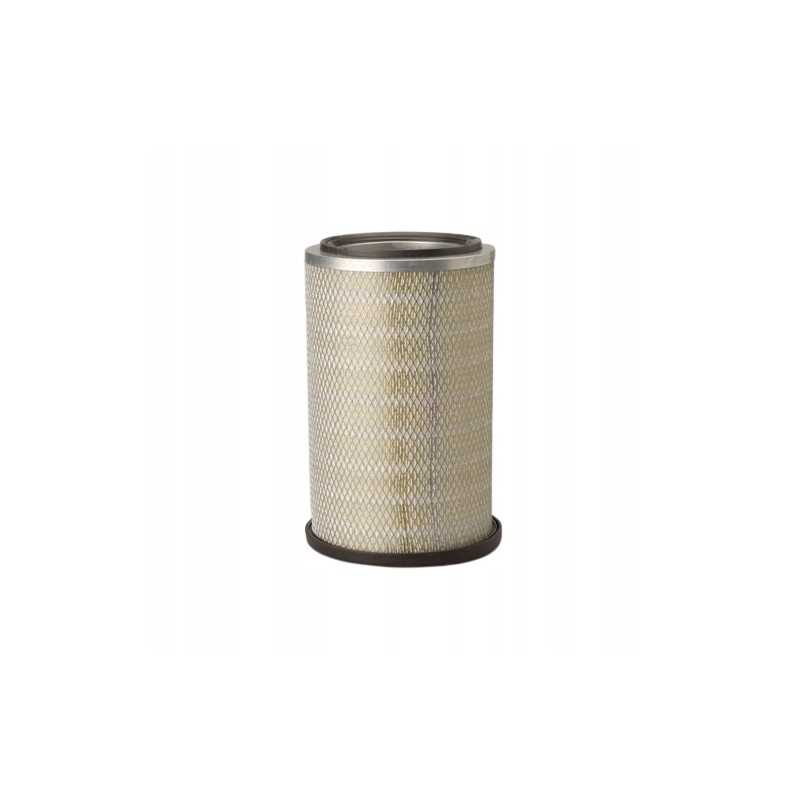 Donaldson oro filtras p789077
