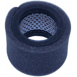 Oro filtras sa12166 weber srx robin ey10d