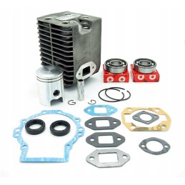 Cilindro wacker guolių sandarikliai wm 80 nikasil