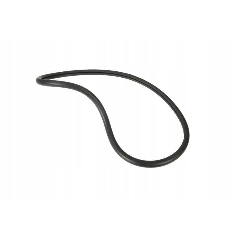 3907109m1 veidrodžio sandariklis