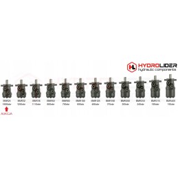 BMR 25 O2W32 P90T hidroliderio hidraulinis variklis