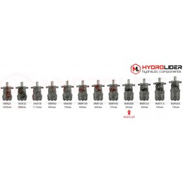 BMR 200 O4W32 hidroliderio hidraulinis variklis
