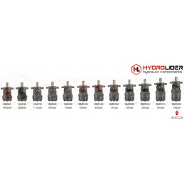 BMR 400 O2W25 PT hidroliderio hidraulinis variklis