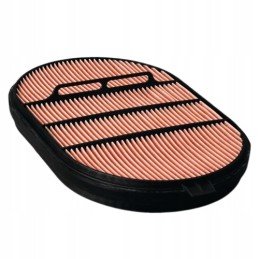 Donaldson P607557 oro filtro įdėklas