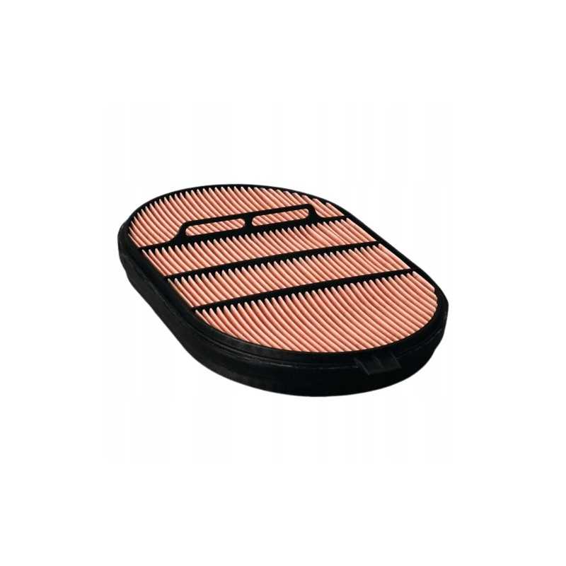 Donaldson P607557 oro filtro įdėklas