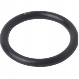 Žiedas oring New Holland t3 t4 t5 86977728 cnh