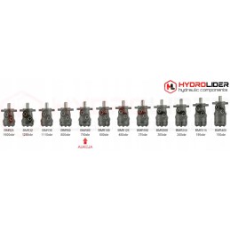 Hidraulinis variklis BMR 80 O2W25 T hidrolideris